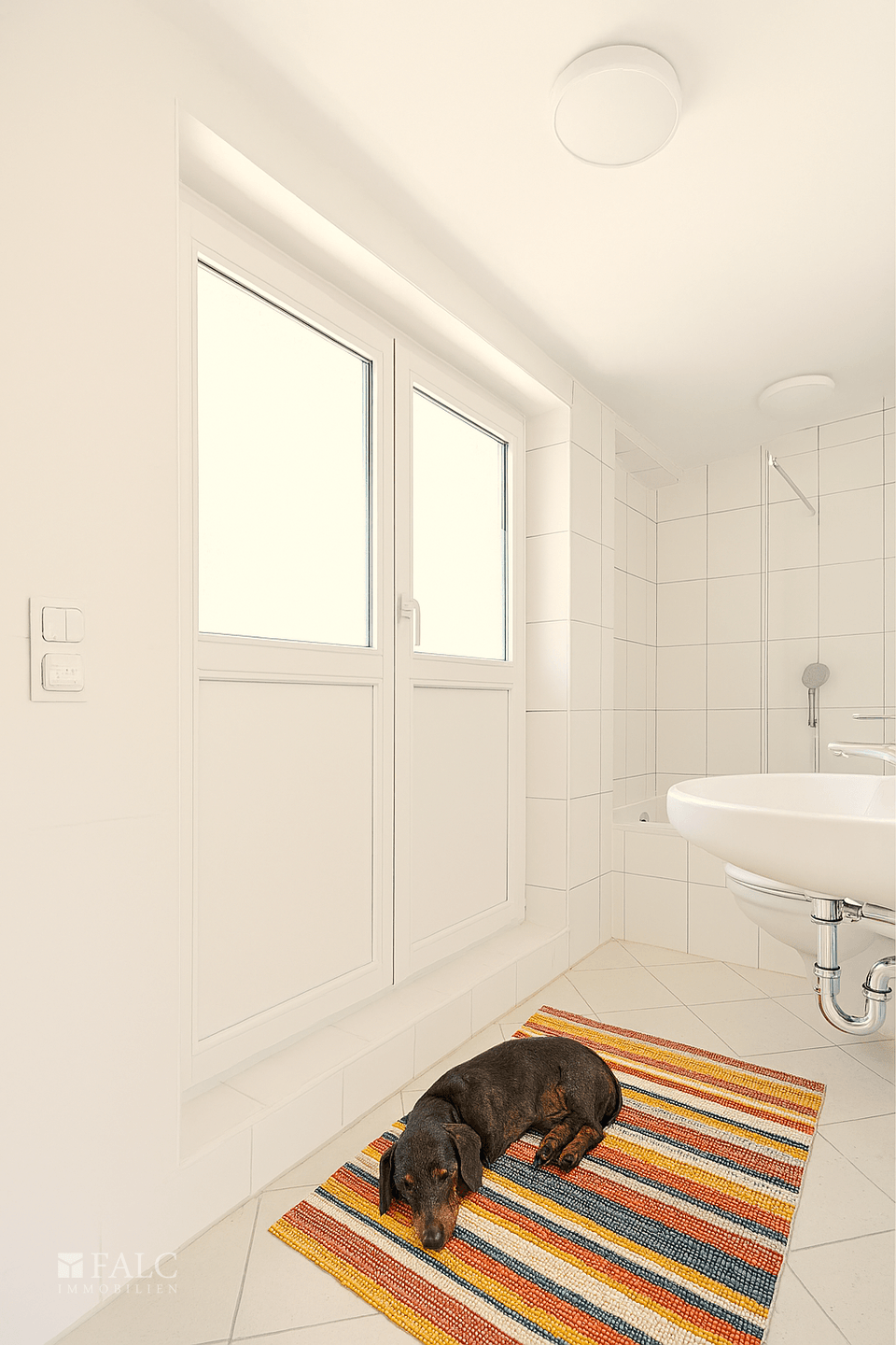DG Bad mit Hund
